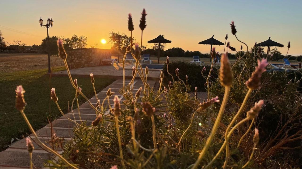 Bonvent Villa Felanitx Dış mekan fotoğraf